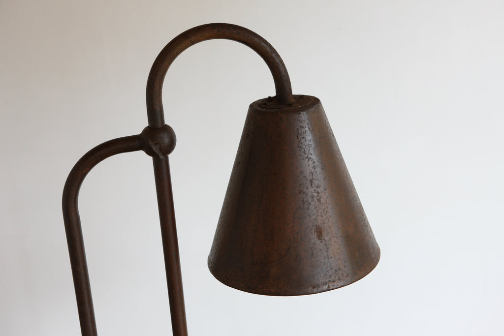 Metal Adjustable Floor Lamp