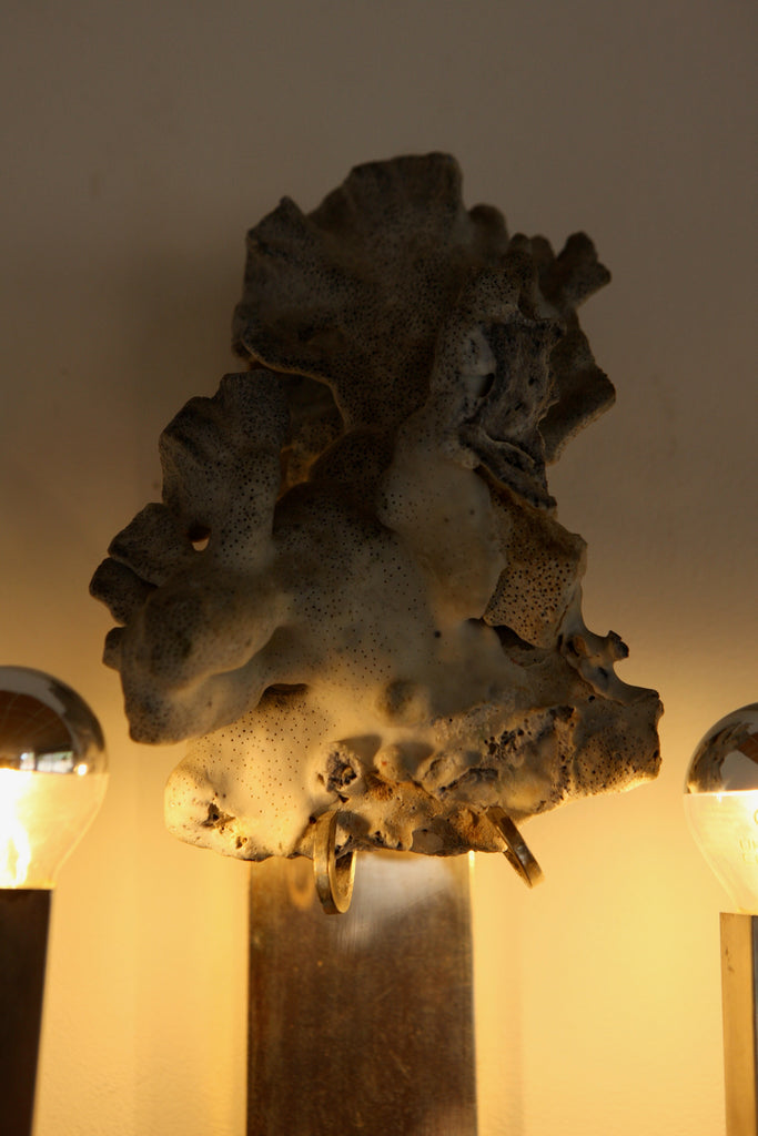Pair of Coral Adorned Wall Lights