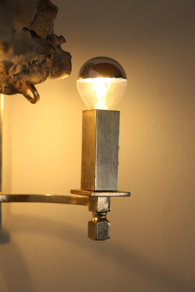 Pair of Coral Adorned Wall Lights