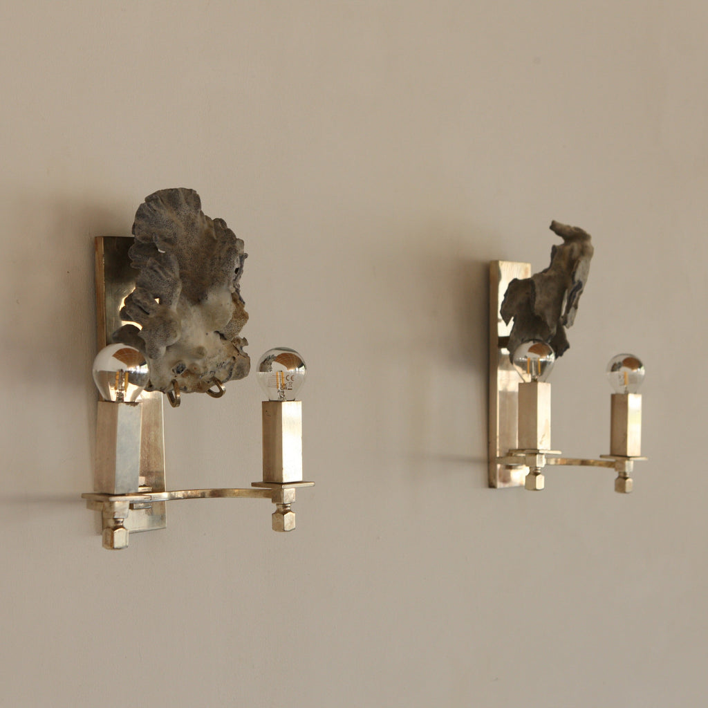 Pair of Coral Adorned Wall Lights