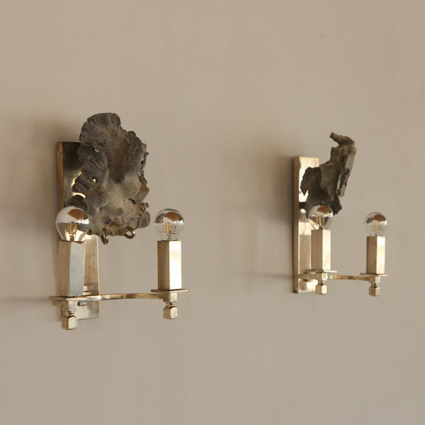 Pair of Coral Adorned Wall Lights