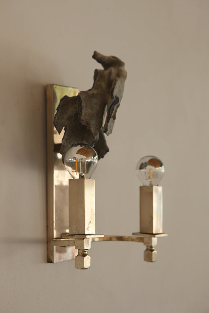 Pair of Coral Adorned Wall Lights