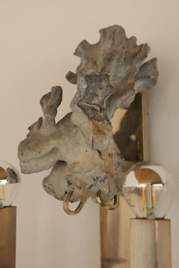 Pair of Coral Adorned Wall Lights