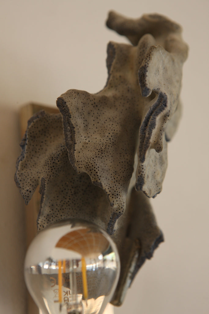 Pair of Coral Adorned Wall Lights