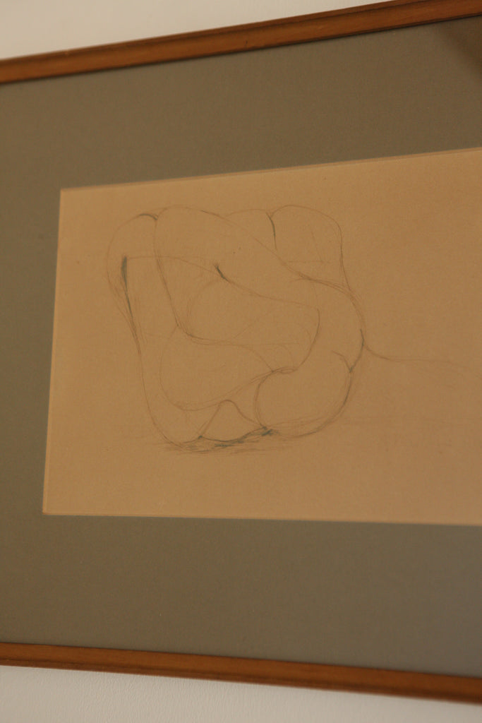 Pencil Drawing