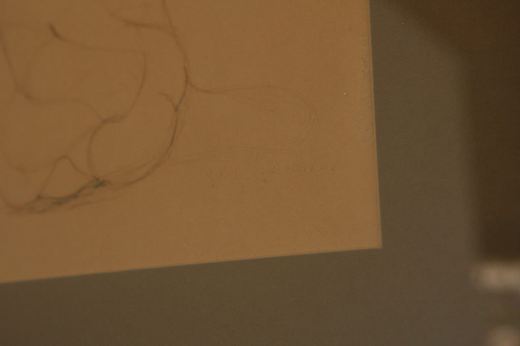 Pencil Drawing