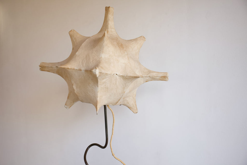 Paper Lantern floor Lamp