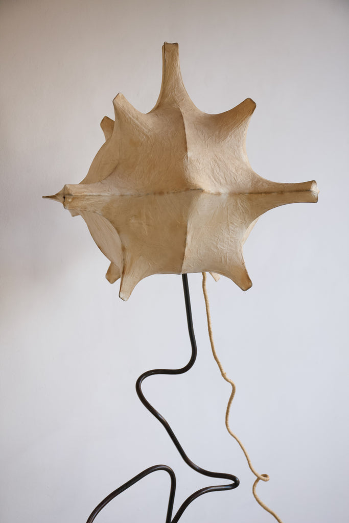 Paper Lantern floor Lamp