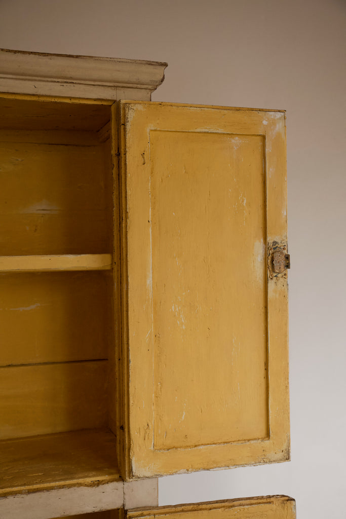 19th Century Trompe L'oeil Cupboard